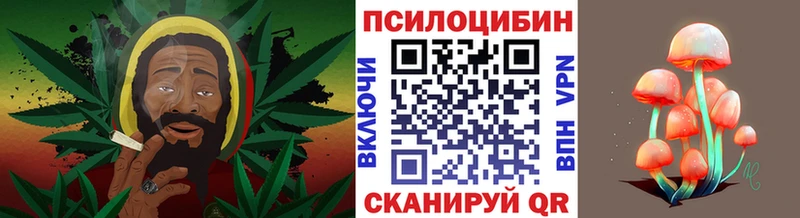 мега tor  Яровое  Галлюциногенные грибы Psilocybine cubensis 